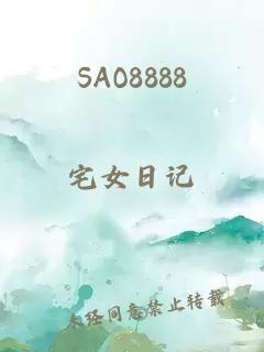 SAO8888